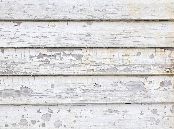 Best Property Management Cleanouts  in Butler, GA